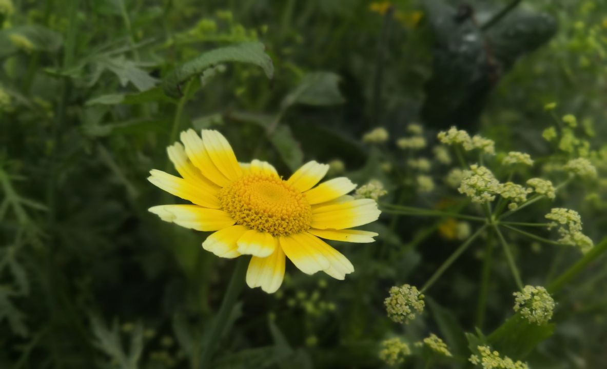 成都周边休闲圣地推荐,成都附近游玩推荐一日游
