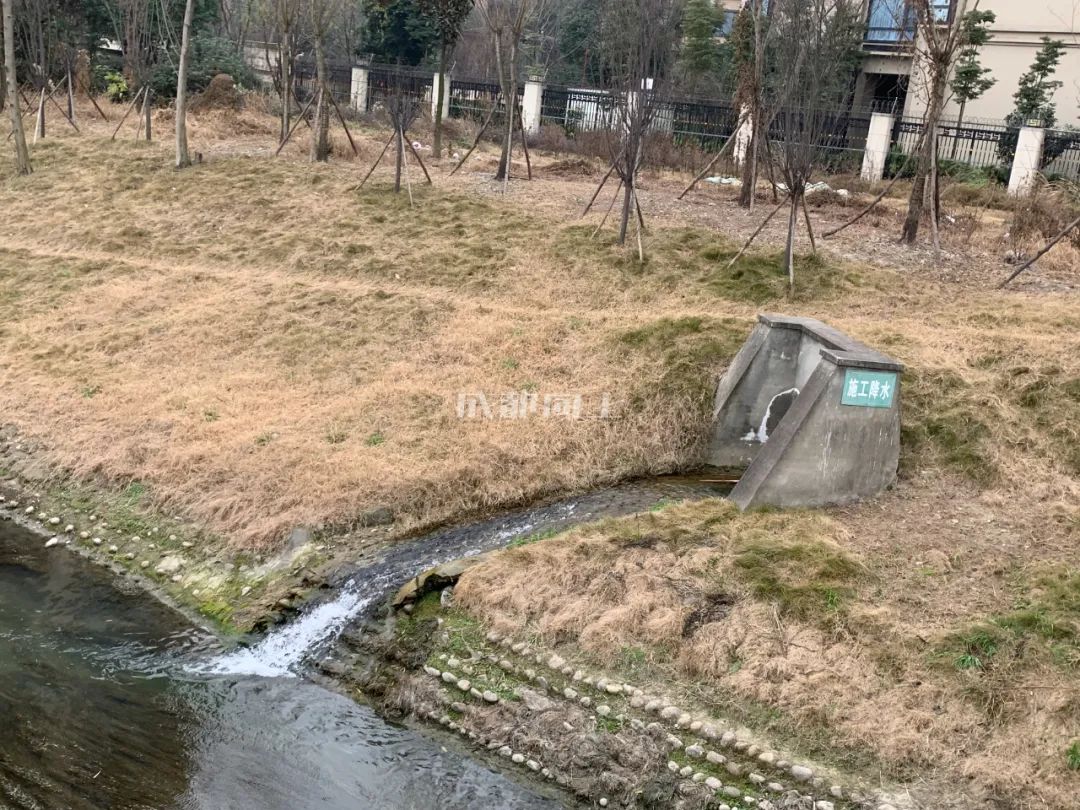 成都绿道风景美如画,成都周边哪条河边绿道最美