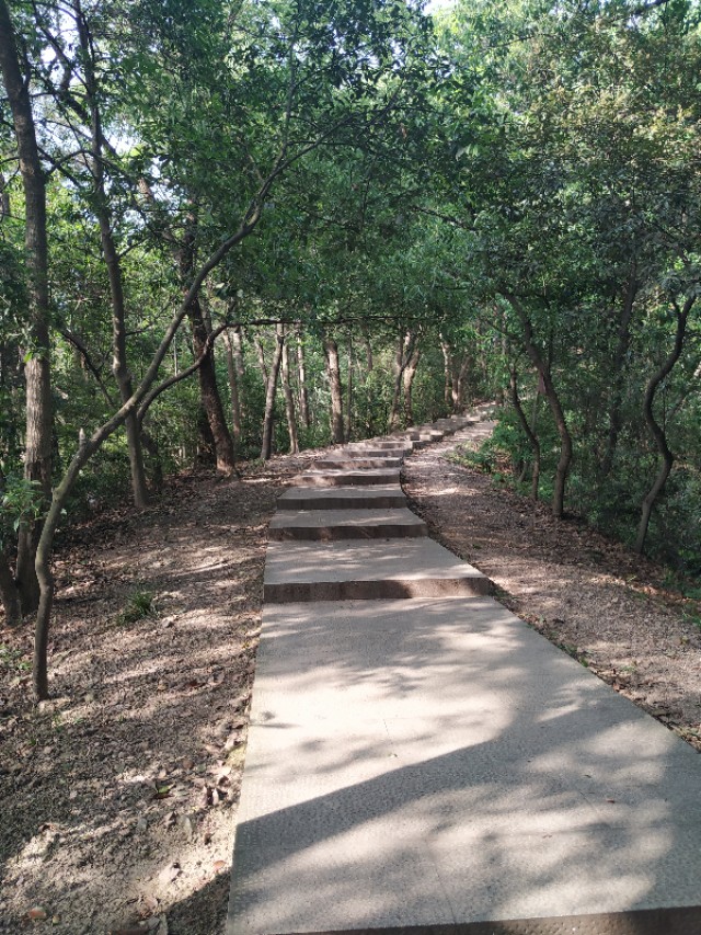 杭州西湖茶山游玩攻略,杭州西湖边游玩