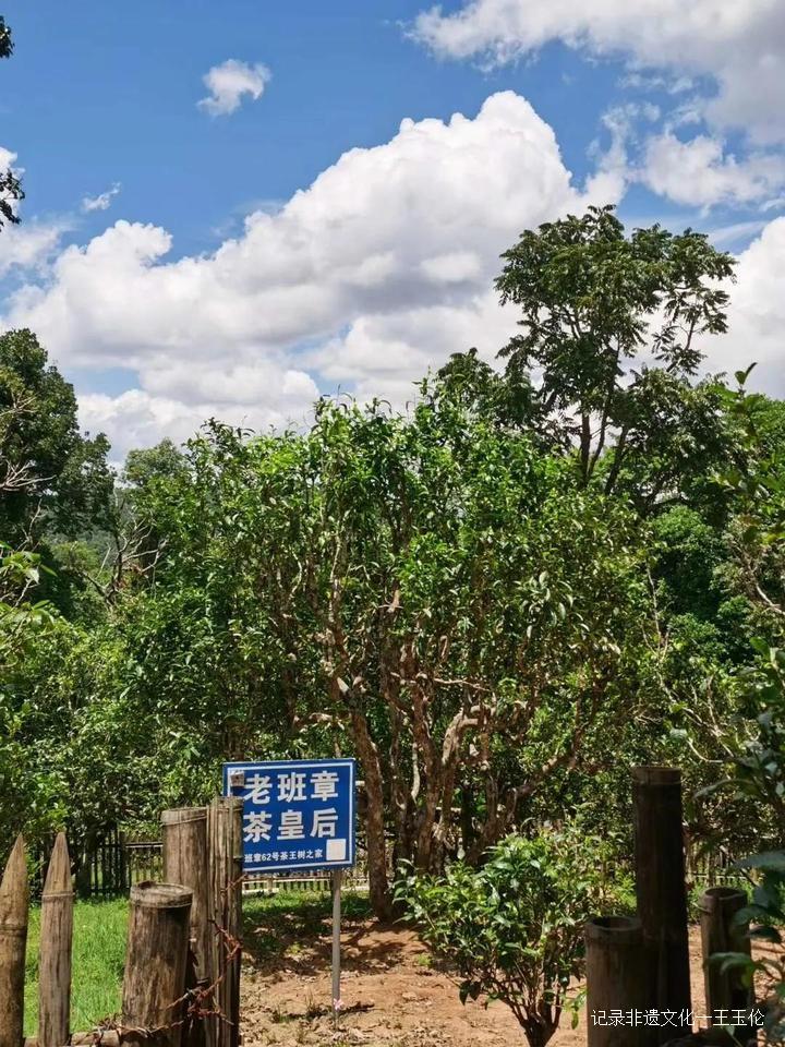 王者风范茶叶价格,龙润普洱生茶顶级老茶饼