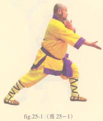 少林护心意门拳全套演示,少林拳长护心意门拳介绍