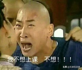天津十大贵族学校小学,天津十大贵族初中