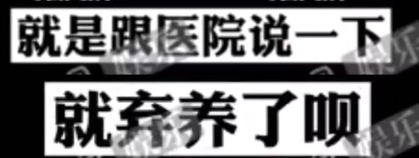 想“退货”的郑爽们：代孕不是代购
