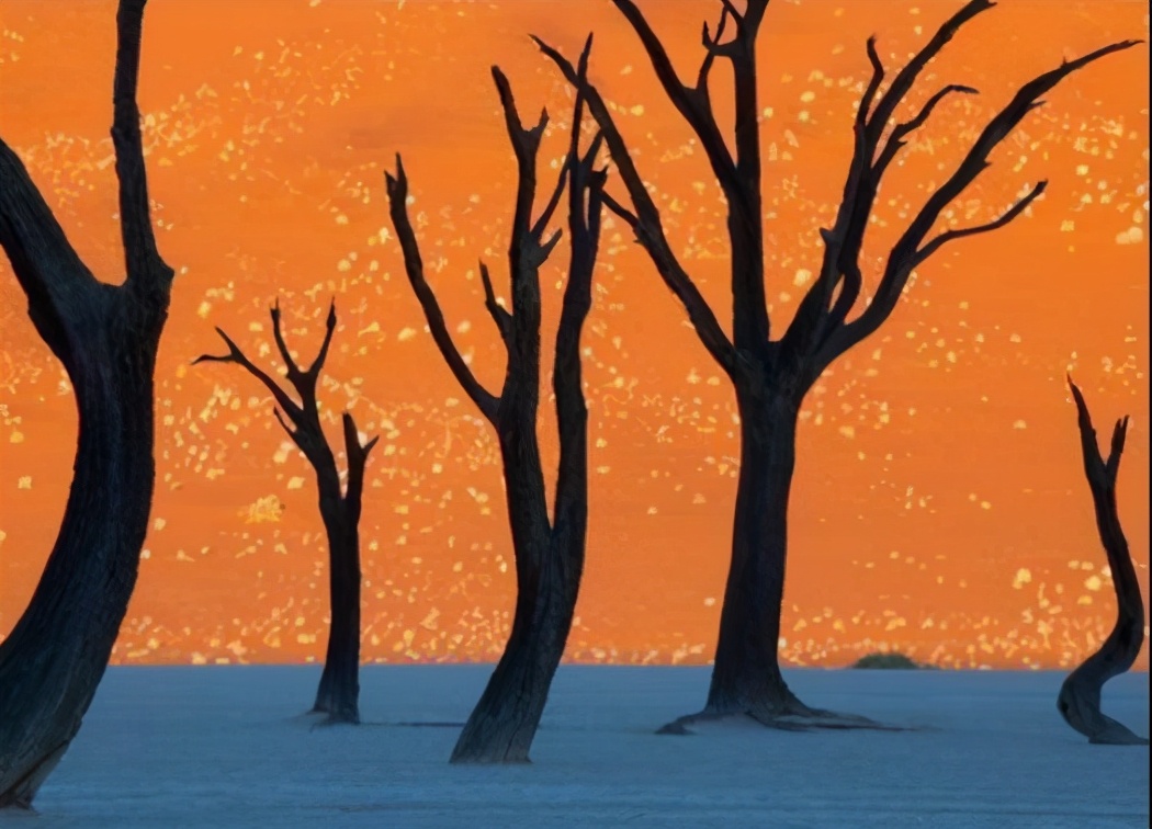 不是ps却胜似ps的28张神奇照片,看似ps却又真实的照片你见过没