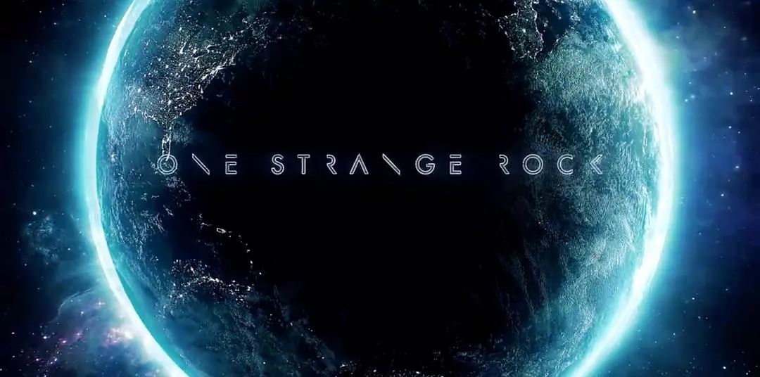 现在年轻人还看电视剧吗,现在的年轻人看网剧