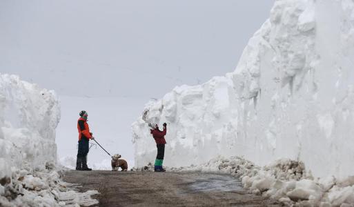 新冠肺炎、澳洲大火、东非蝗灾一系列灾难：2020年到底怎么了