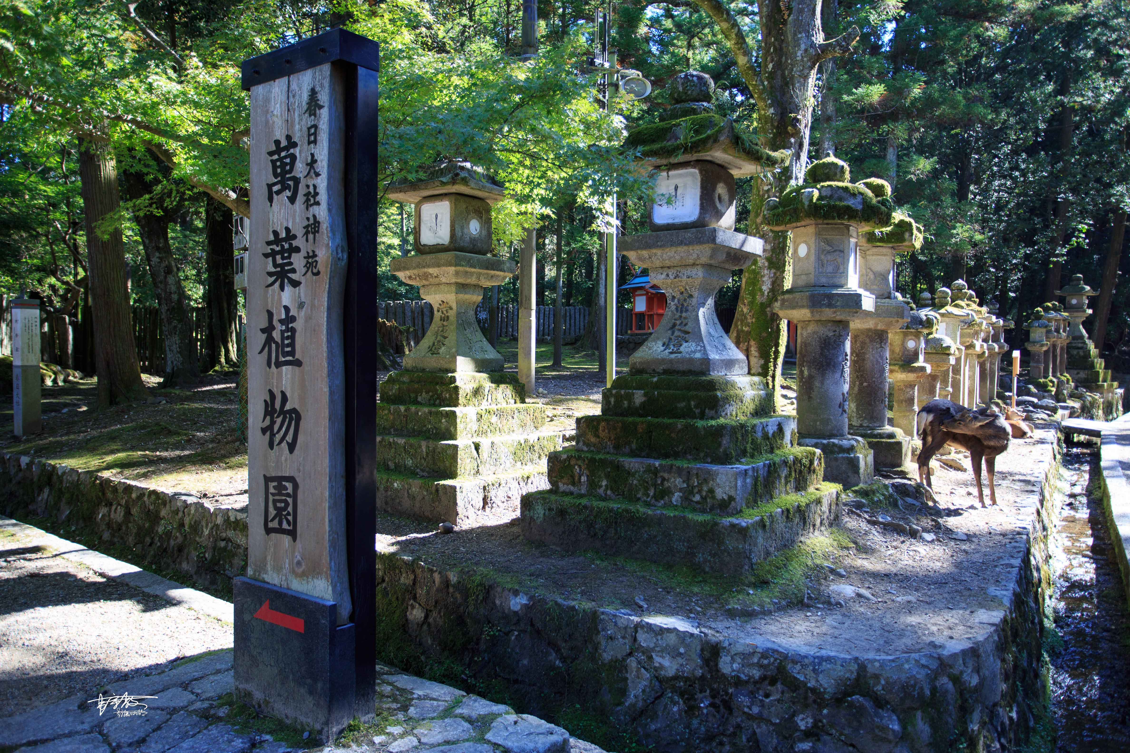 网红打卡景点奈良,日本奈良10大网红打卡景点