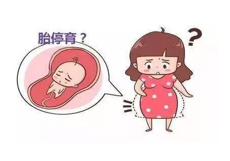 连续两次在8周胎停是什么原因,怀孕两次都胎停是什么原因