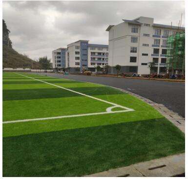 玉林市粤桂扶贫协作,贺州市粤桂扶贫协作取得效果