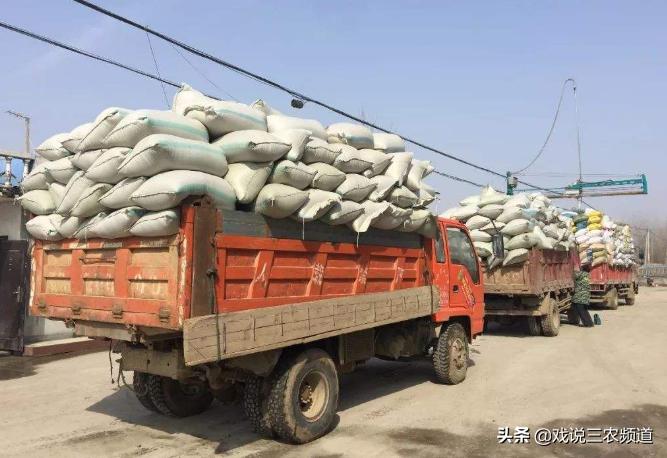 粮价暴涨的后果,粮价大跌物价大涨农民还能种地吗