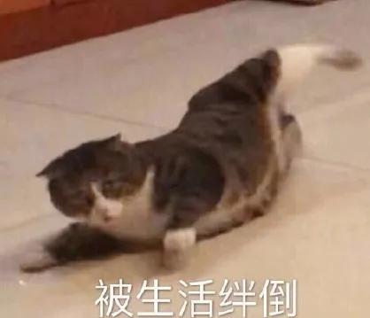 蓝盈莹为什么离开北京人艺,蓝盈莹为什么离开北京艺术剧院