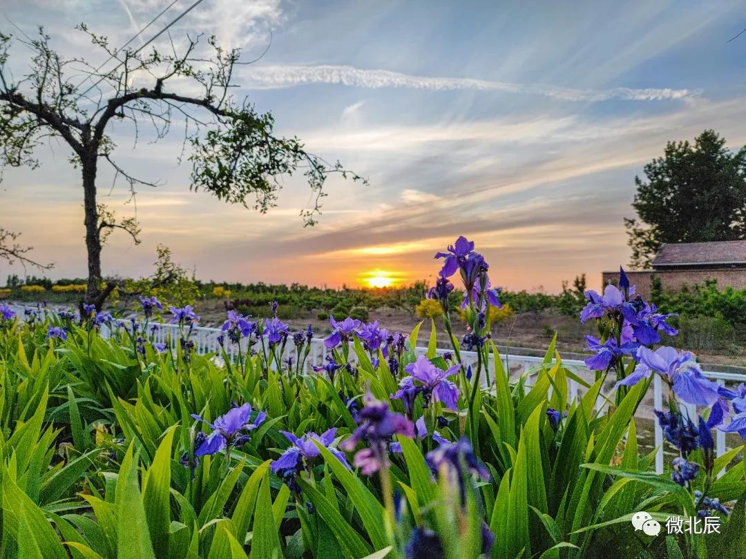 天津市乡村旅游示范片区,天津最好的乡村旅游区