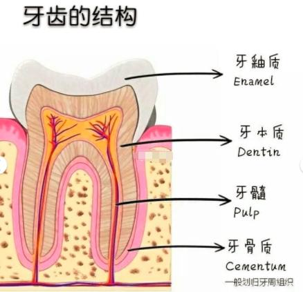 名医访｜4招教你保护牙釉质！从这件小事做起！