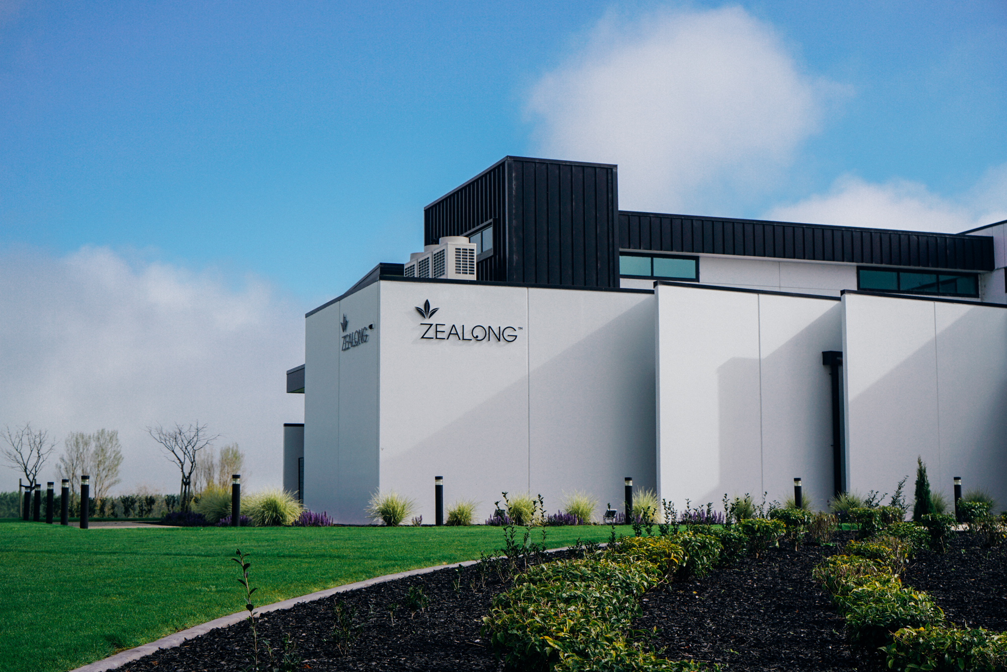 为什么说新西兰是纯净的,新西兰北岛有值得去的地方吗