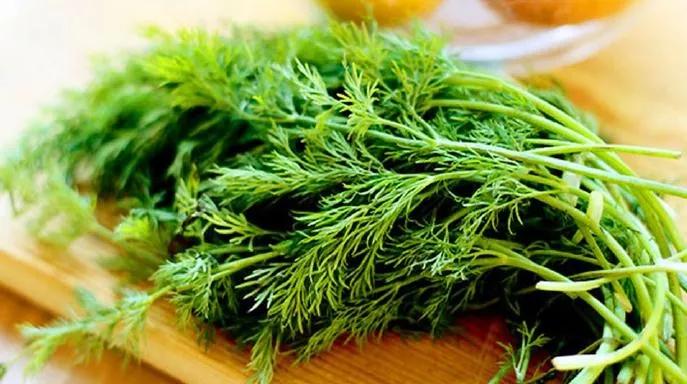 胡萝卜山药大白菜功效,白萝卜山药白菜的功效
