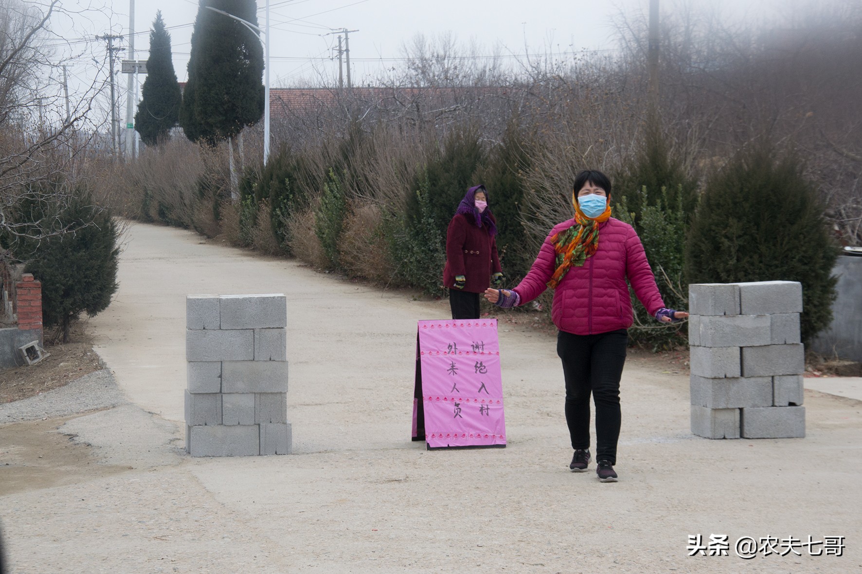 疫情后苹果的销售情况如何,疫情过后苹果销售的影响