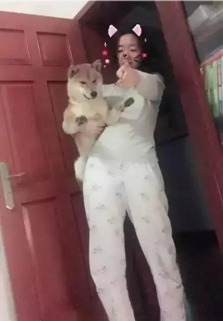 被我妈笑岔气了搞笑聊天记录,老妈顺产搞笑聊天记录