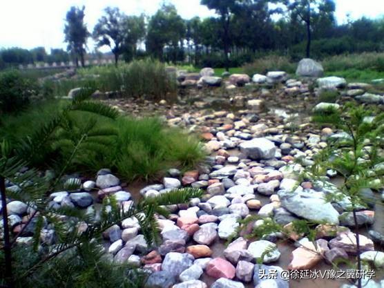 不出郑州旅游攻略,郑州五一游玩公园推荐