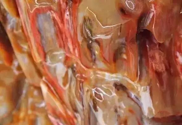 中国最稀有的玉石图片,中国各省珍稀玉石