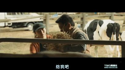 片长125分钟，拳拳到肉！韩国《新世界》导演的新片，质量又很高