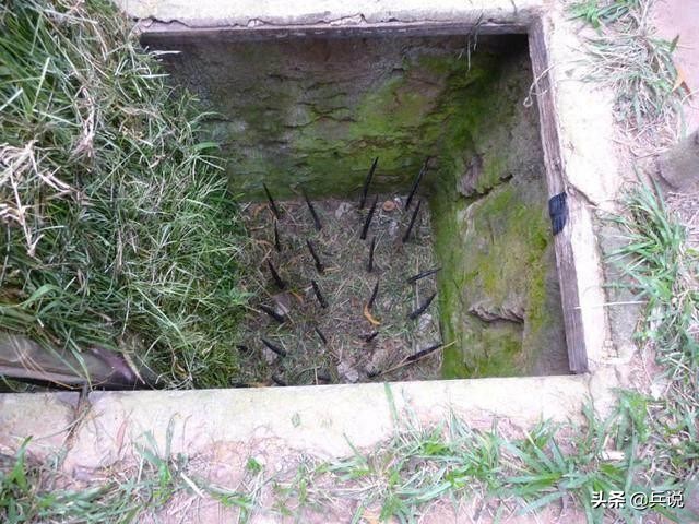 越军遍设竹尖陷阱，外加毒蛇，美军闻风丧胆，不敢收尸