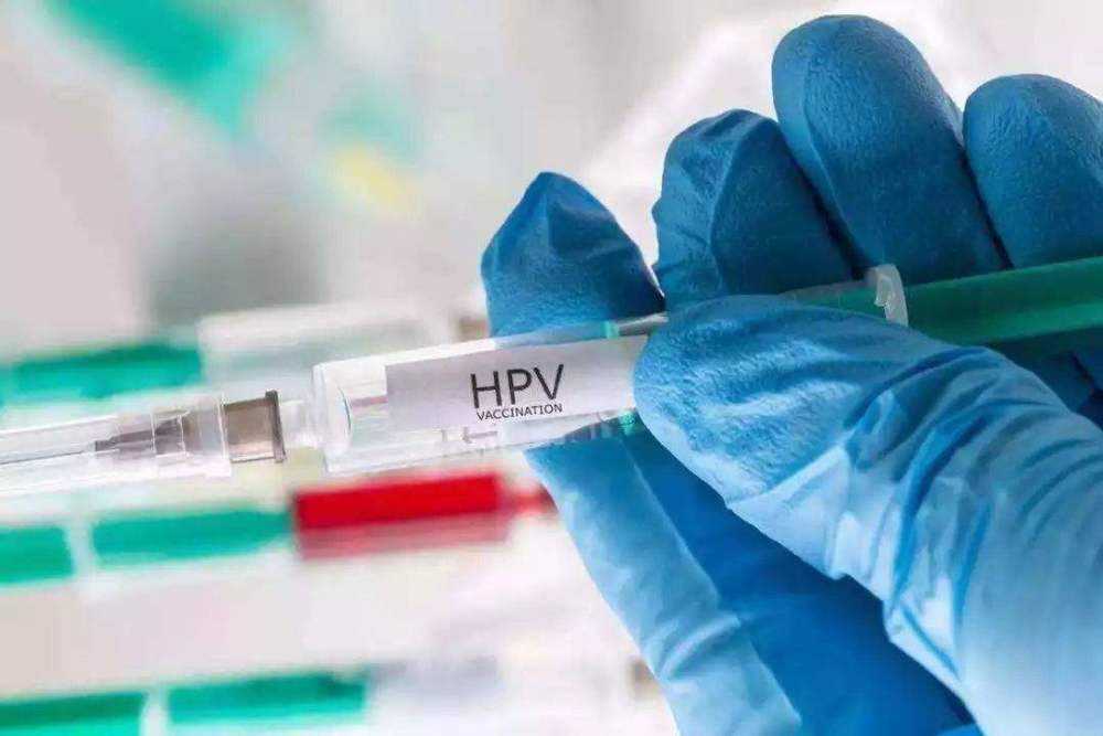 hpv疫苗是预防什么病的,4价hpv预防哪几种病毒