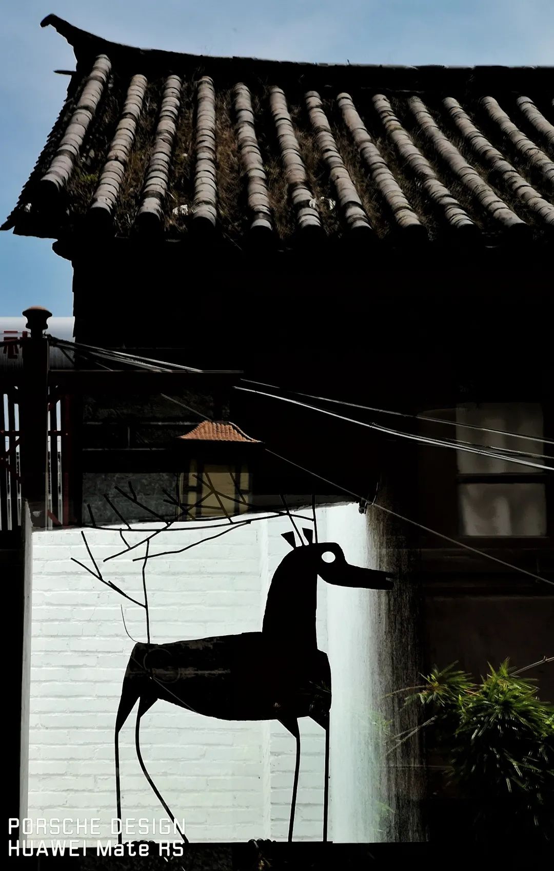 2023平遥国际摄影节获奖摄影作品,2009大理摄影展获奖作品