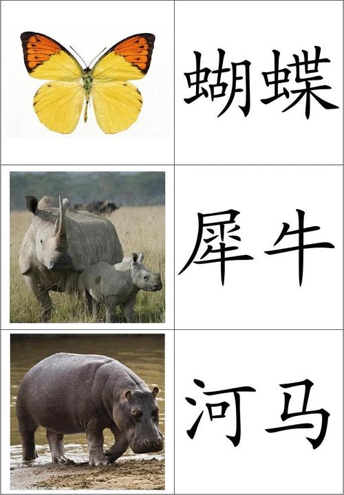 带孩子高效识字,家长教孩子识字的软件
