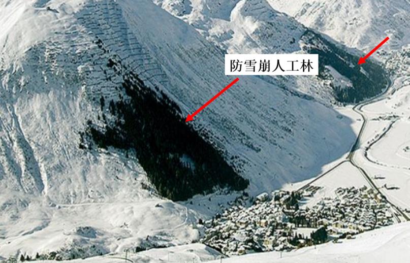 512防灾减灾的知识,512防震减灾日小知识