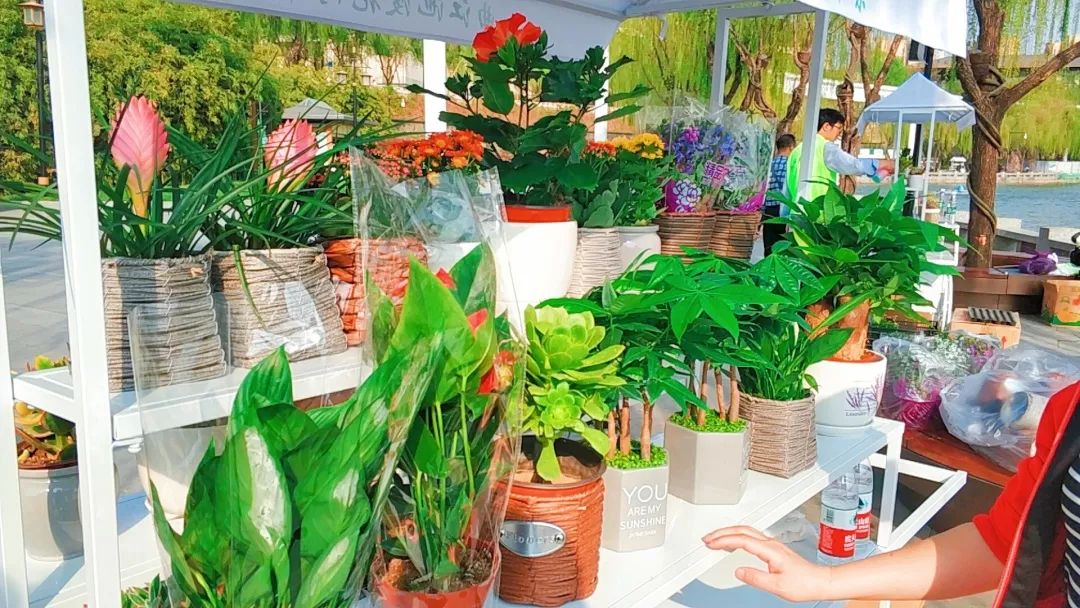 不出西安一日游必去免费景点,不出西安五一值得去的地方