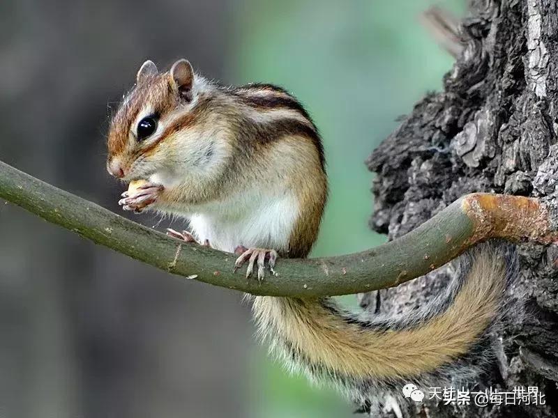 清凉夏日一起游玩,清凉夏日的奇幻邂逅