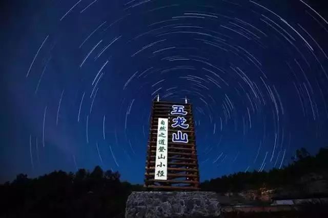 隐世原乡，又见桐花开。