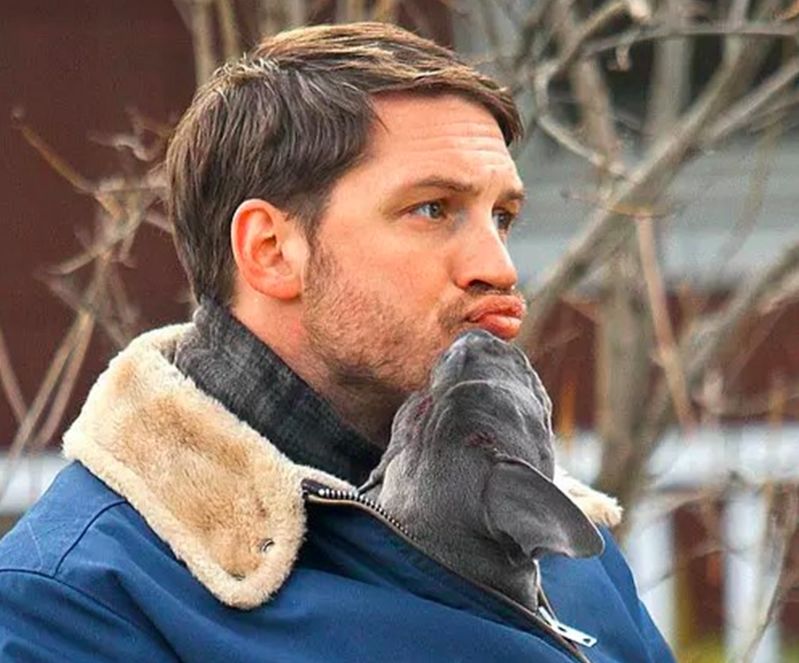 这周电影都看啥,这周即将播出的好看电影