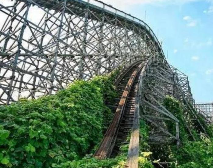 又一物在美国成灾成灾，当地人称为恶魔，中国人却花大价钱求购