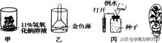 人教版七年级生物期末试卷及答案,2018年七年级生物上学期期末试题