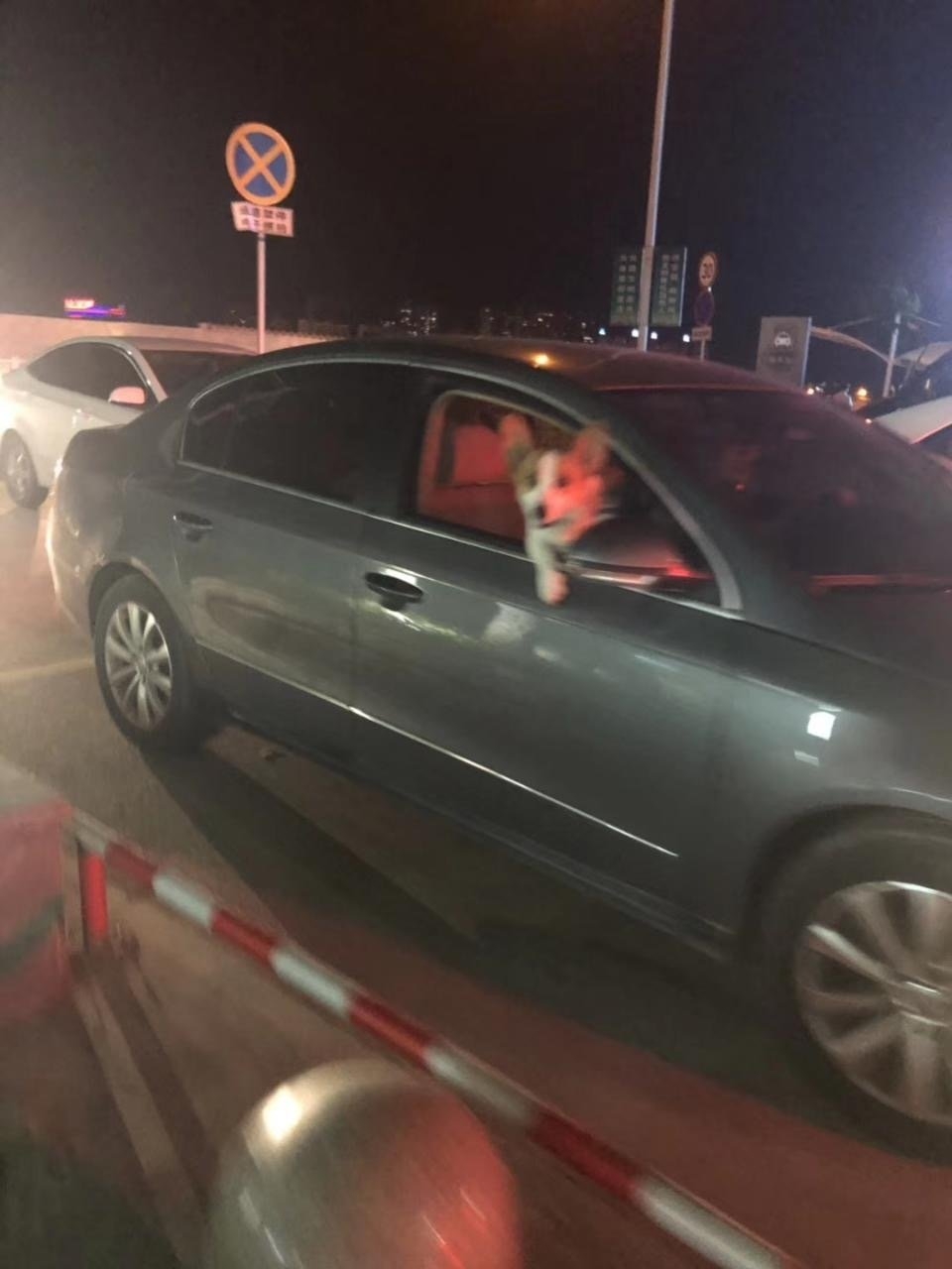 鱼小菜菜酱的萌宠时间（第三期）