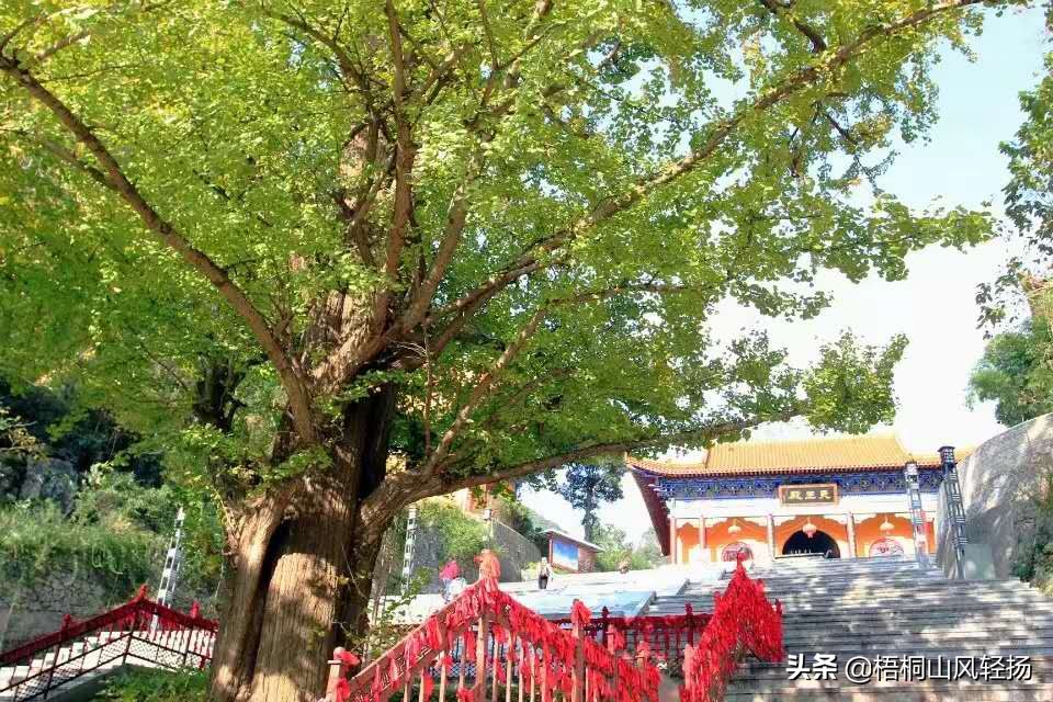 贵州省惠水县九龙禅寺,贵州省黔南州惠水县九龙寺