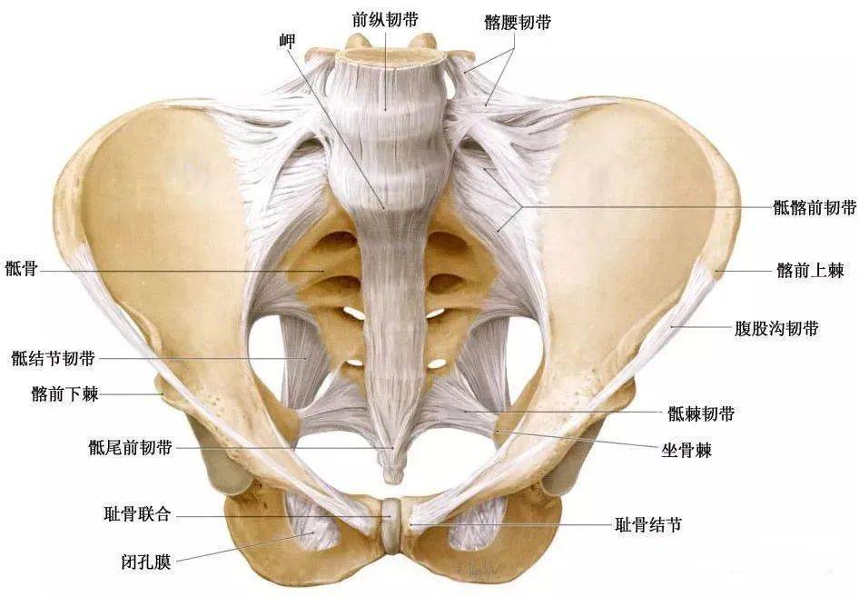 腰弯下或蹲下就疼是什么原因,下腰起来的时候胸口刺痛