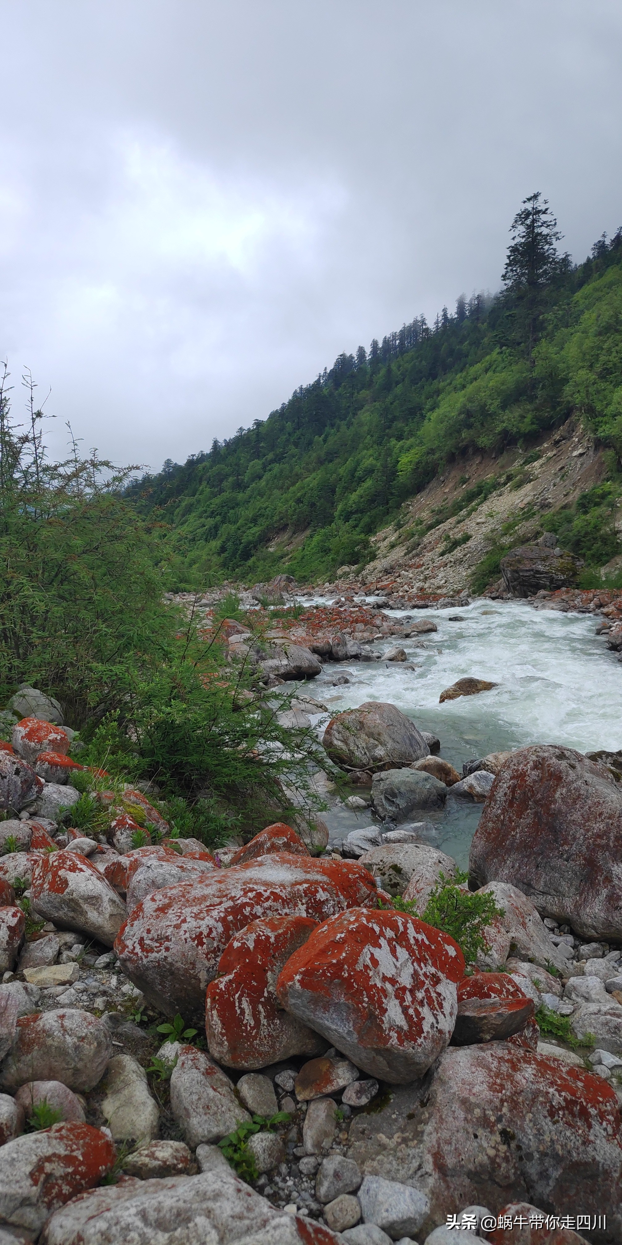 成都出发，一家三口2300元贡嘎神汤喇叭河四日游