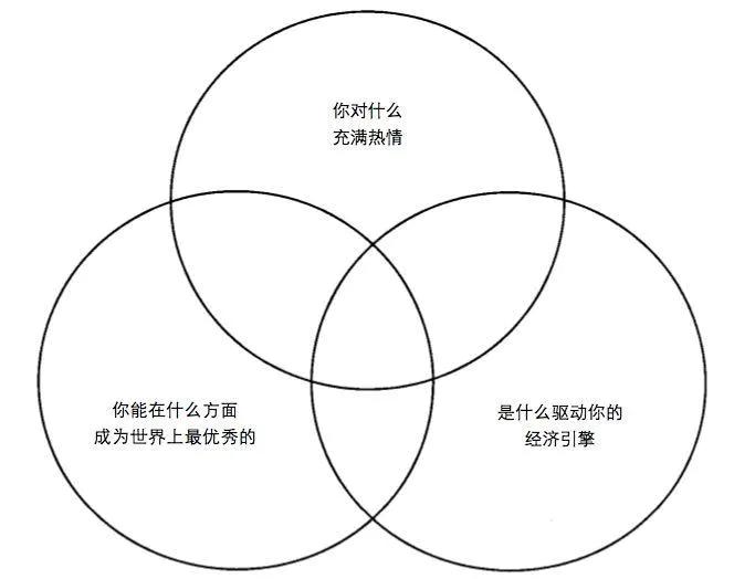 刺猬三环理论实际应用,刺猬理论十大法则
