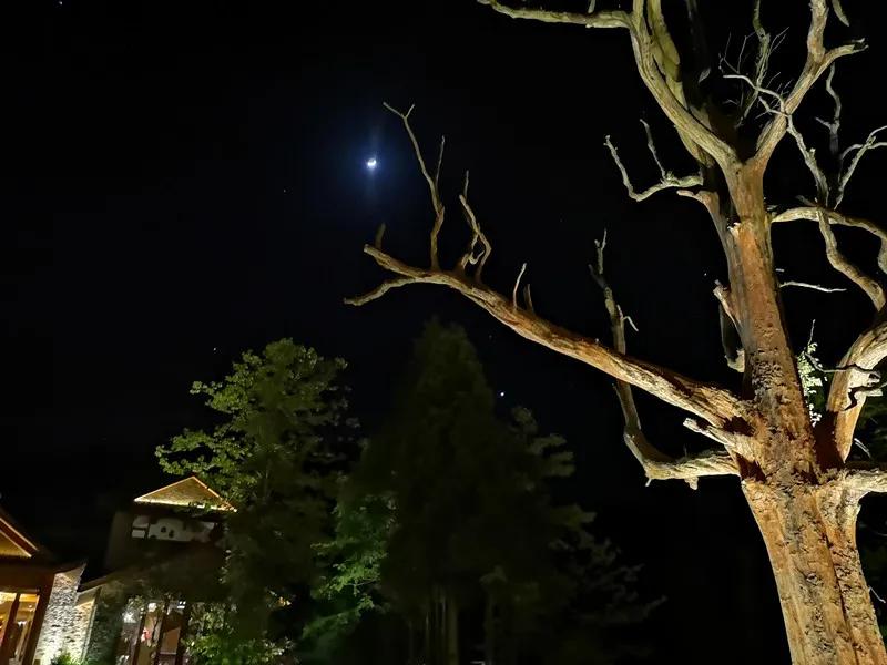 去张家界住哪里比较方便游玩,张家界旅游攻略住在哪最好