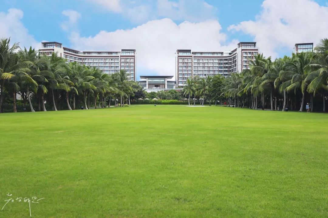 上海去三亚飞到哪里比较划算,上海飞三亚旅游