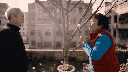 今年好看的国产影片,今年有什么国产剧好