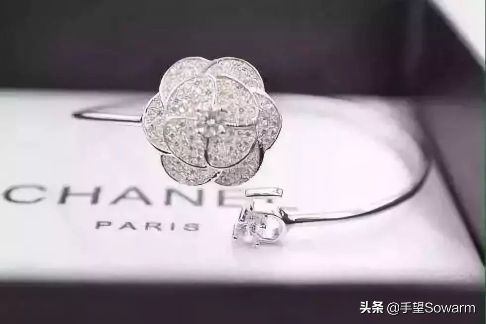 为时尚界奉献了70年的香奈儿凯撒大帝遗产竟只留给猫?