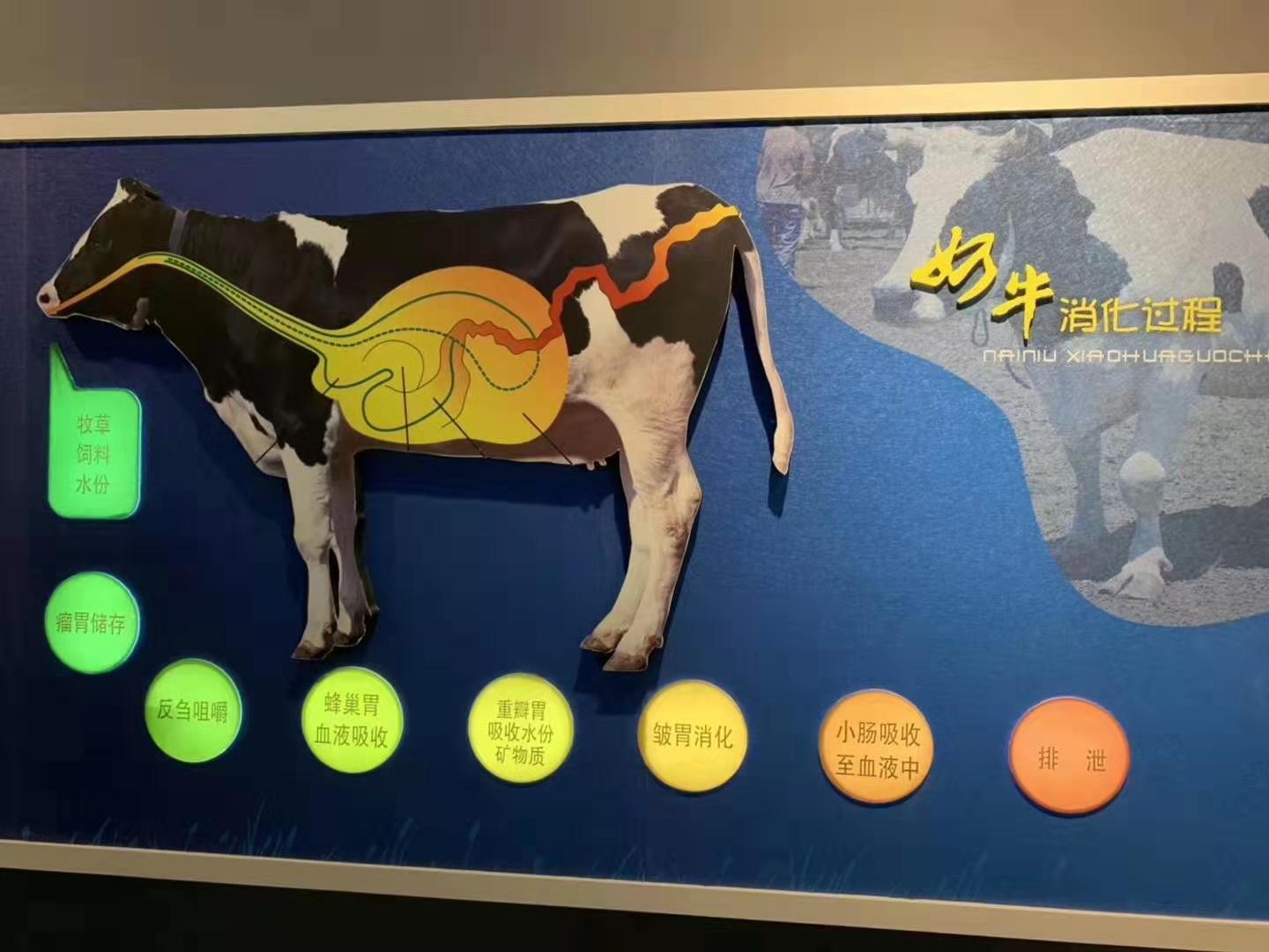 代购奶粉和正规渠道奶粉的区别,你还在母婴店高价买奶粉吗