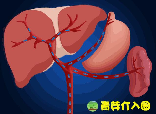 乙肝病人出现吐血便血大概活多久,乙肝吐血止血治疗方法