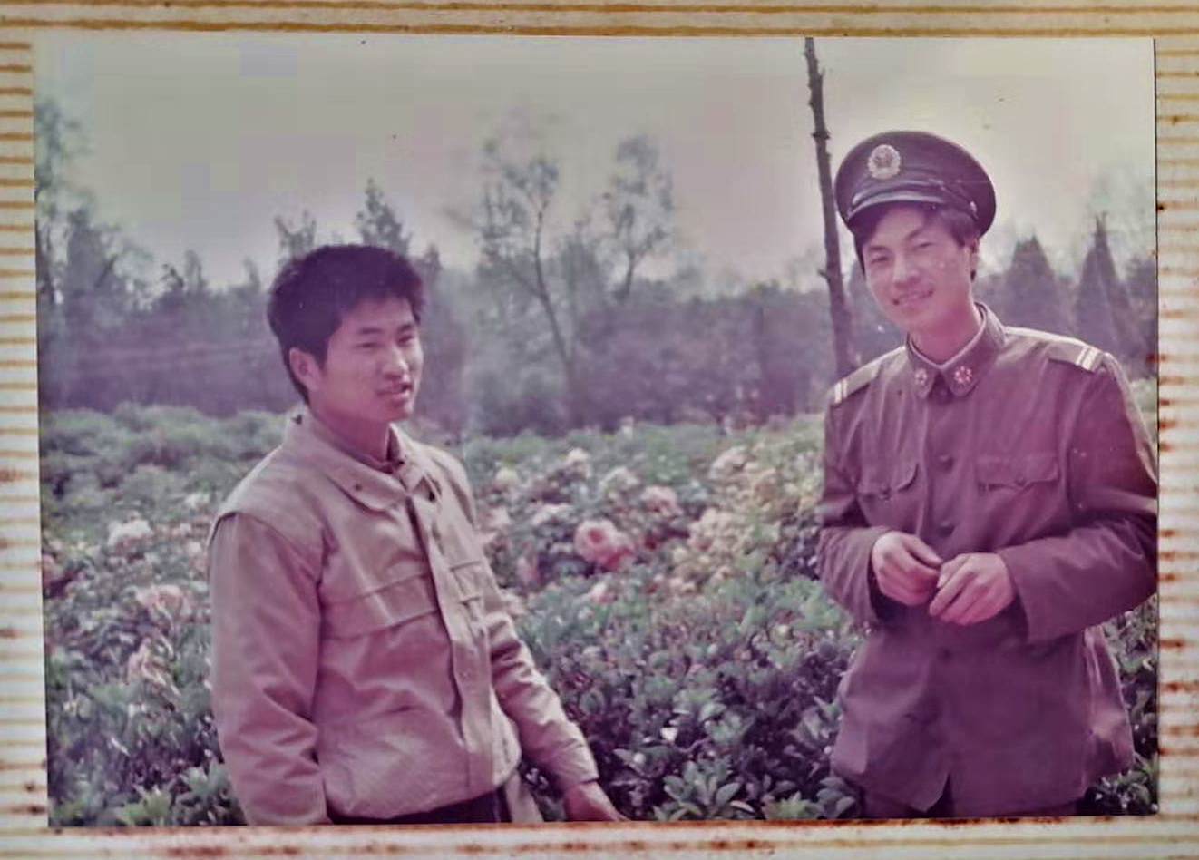 课本上的放弃射门,小学课文放弃射门是真的吗