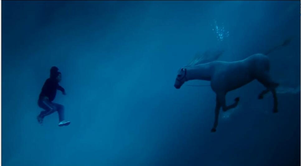 一人一马攀登高峰望故乡完整版,一人一马励志电影