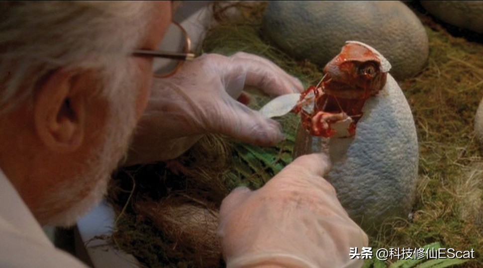 以人类目前的技术能复活恐龙吗,用ar技术复活中国远古时期的恐龙