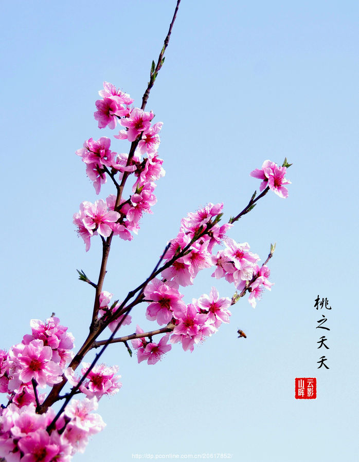 细思极恐的桃花源记,桃花源记细思极恐的地方视频